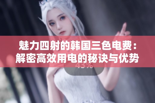 魅力四射的韩国三色电费：解密高效用电的秘诀与优势