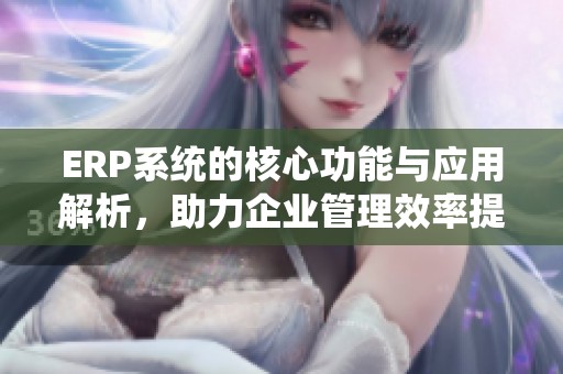 ERP系统的核心功能与应用解析，助力企业管理效率提升