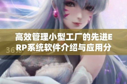 高效管理小型工厂的先进ERP系统软件介绍与应用分析