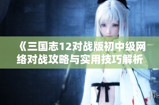 《三国志12对战版初中级网络对战攻略与实用技巧解析》
