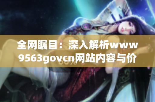 全网瞩目：深入解析www9563govcn网站内容与价值