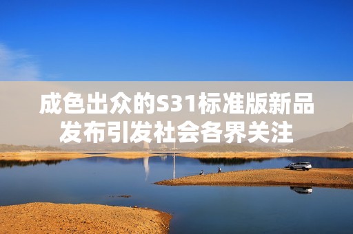 成色出众的S31标准版新品发布引发社会各界关注