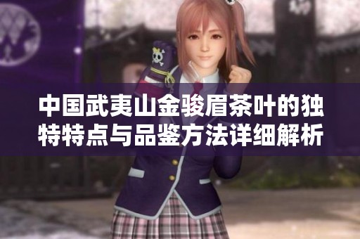 中国武夷山金骏眉茶叶的独特特点与品鉴方法详细解析