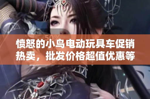 愤怒的小鸟电动玩具车促销热卖，批发价格超值优惠等你来抢！