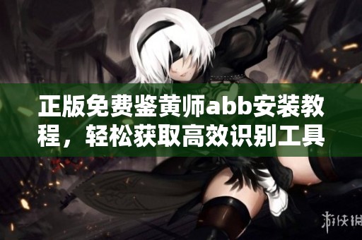 正版免费鉴黄师abb安装教程，轻松获取高效识别工具