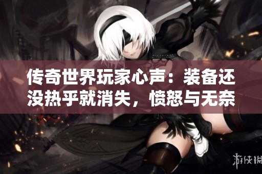 传奇世界玩家心声：装备还没热乎就消失，愤怒与无奈双重袭来！