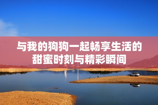 与我的狗狗一起畅享生活的甜蜜时刻与精彩瞬间