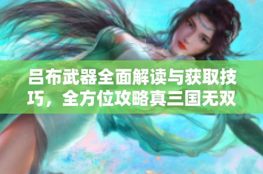 吕布武器全面解读与获取技巧，全方位攻略真三国无双4
