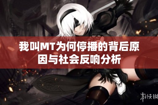 我叫MT为何停播的背后原因与社会反响分析