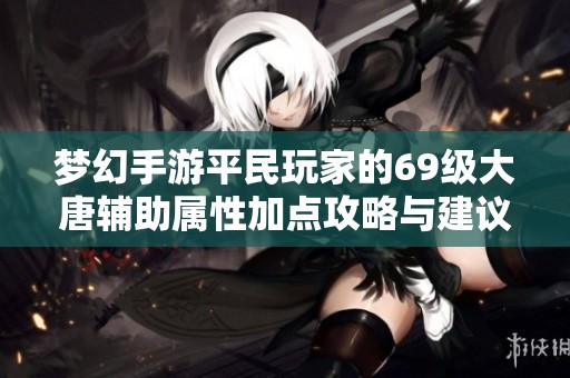 梦幻手游平民玩家的69级大唐辅助属性加点攻略与建议