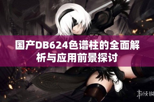 国产DB624色谱柱的全面解析与应用前景探讨
