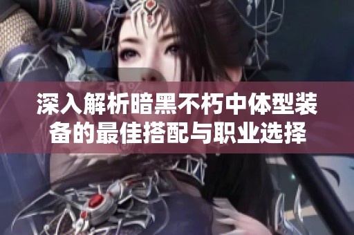 深入解析暗黑不朽中体型装备的最佳搭配与职业选择
