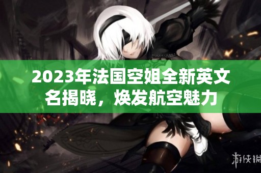 2023年法国空姐全新英文名揭晓，焕发航空魅力