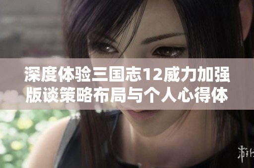 深度体验三国志12威力加强版谈策略布局与个人心得体会