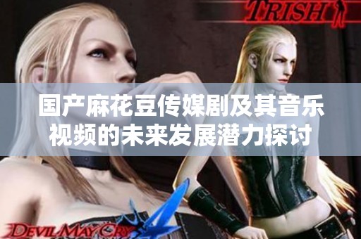 国产麻花豆传媒剧及其音乐视频的未来发展潜力探讨