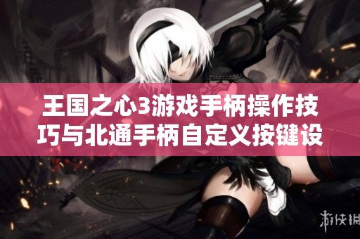王国之心3游戏手柄操作技巧与北通手柄自定义按键设置攻略